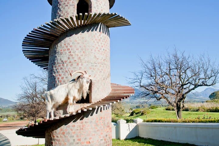 Aquila Private Game Reserve: Private Game Drive, Lunch & Wine-Tasting Options photo 3