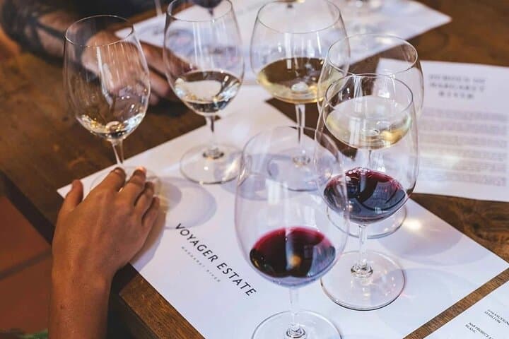 Aquila Private Game Reserve: Private Game Drive, Lunch & Wine-Tasting Options photo 5