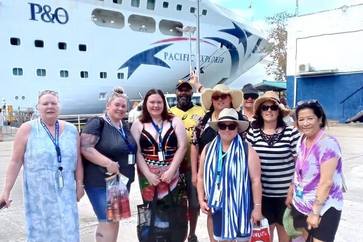 Tropical Splash Tour: Snorkel, Waterfalls & Blue Lagoon on Efate photo 6