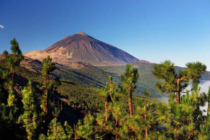 Tenerife Jet Ski Tour with Optional Quad Safari on the San Miguel Coast & Teide photo 3