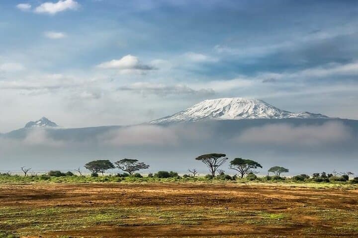 Climb Kilimanjaro in 5 Days: Marangu Route Guide to Uhuru Peak