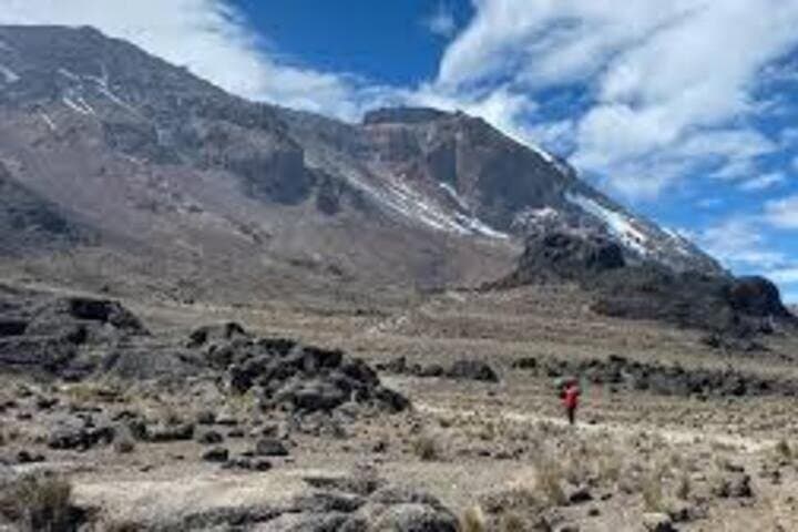 Climb Kilimanjaro in 5 Days: Marangu Route Guide to Uhuru Peak photo 3