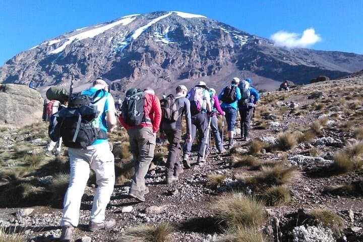 Climb Kilimanjaro in 5 Days: Marangu Route Guide to Uhuru Peak photo 4