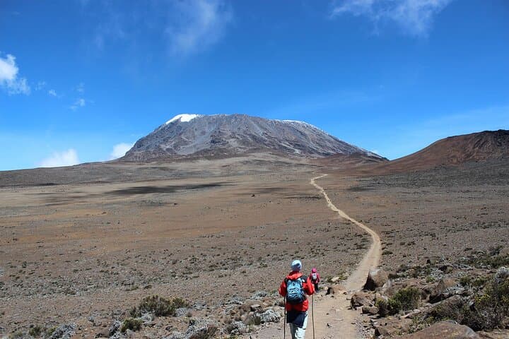 Climb Kilimanjaro in 5 Days: Marangu Route Guide to Uhuru Peak photo 5
