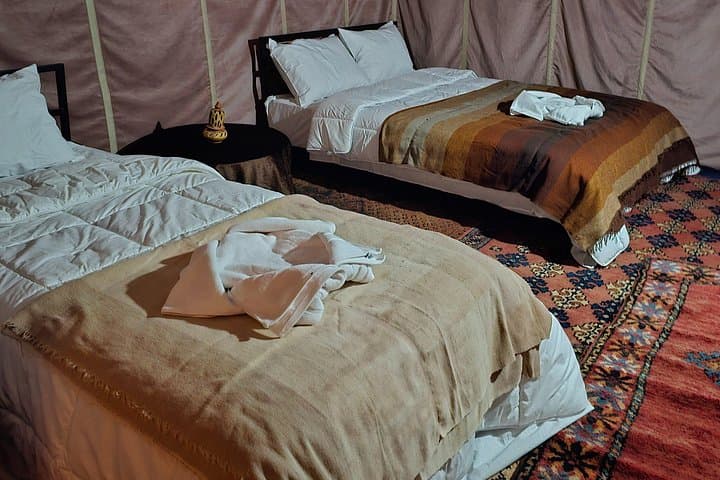 Overnight Oasis to Sahara: Music, Camels & Tree-Planting in M'Hamid photo 3