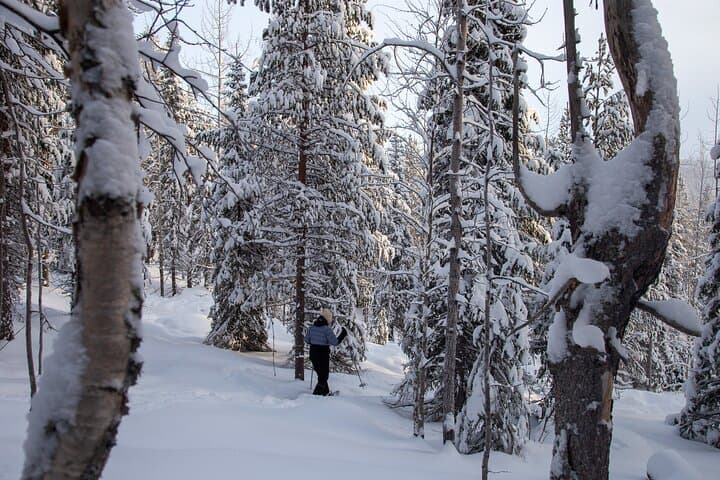 Levi Lakeside Snowshoeing: Forest Trails and Frozen Lake Walks photo 3