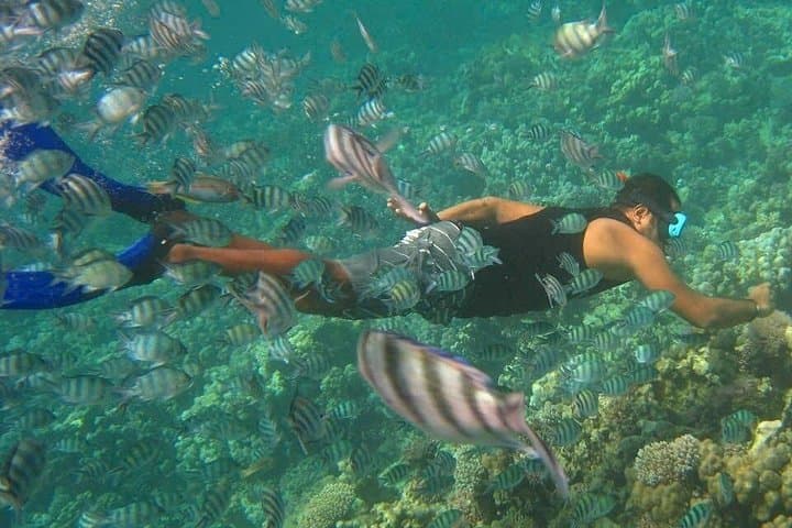 Nha Trang Snorkeling, Fishing & Mini Beach Relaxation: Mun Island Day Cruise photo 1