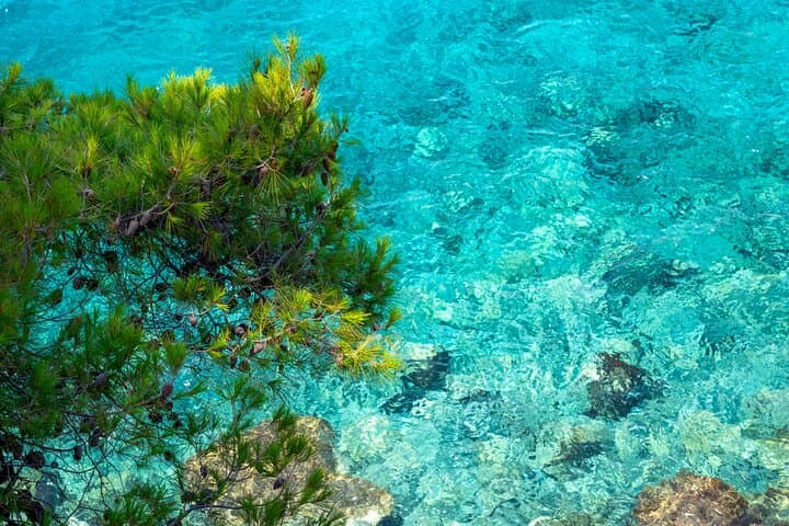 Full-Day Catamaran Sailing in Halkidiki: Turquoise Beaches and Greek Flavors photo 5