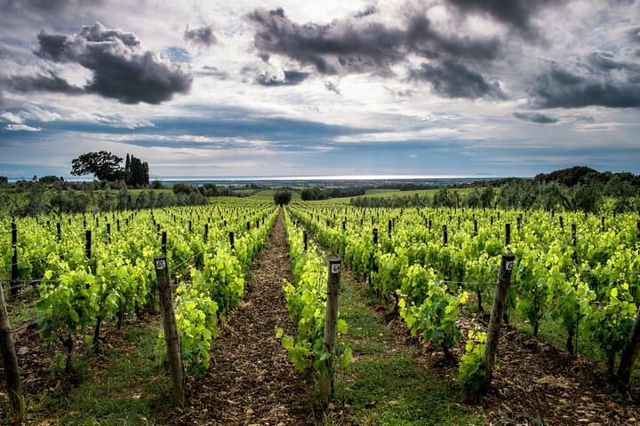 Full-Day Maremma: Montemerano, Saturnia Waterfalls & Pitigliano with Wine Tasting photo 2