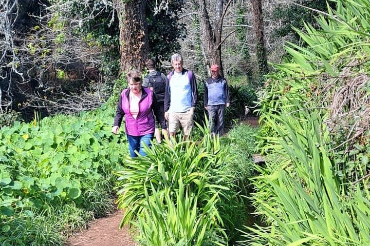 Madeira Levada Walk, Cider Tasting & Farm Lunch in Camacha photo 2