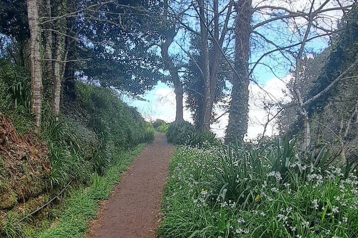 Madeira Levada Walk, Cider Tasting & Farm Lunch in Camacha photo 6