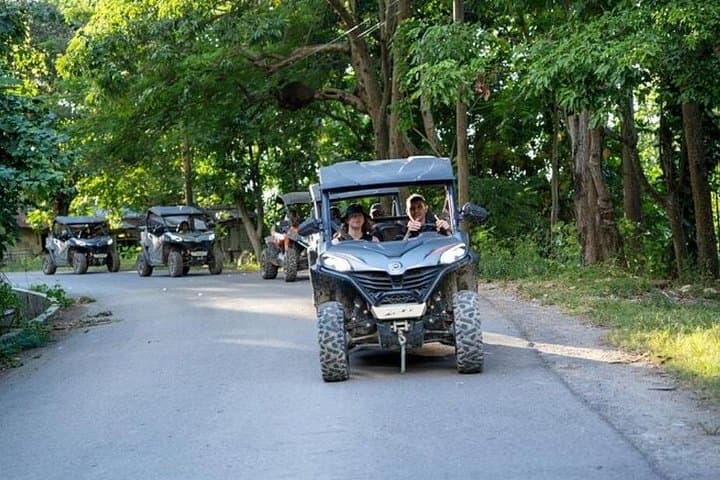 Rastafari Cultural ATV Experience from Negril — Village Drives, Mineral Pool & Ital Lunch photo 1