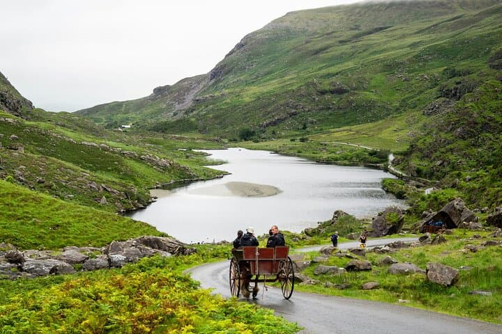 Killarney Highlights Walk and Castle Lake Jaunting Carriage Tour