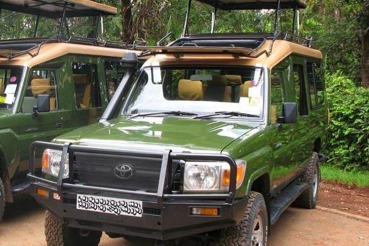 Rwanda Gorilla Volcanoes Car Tour: Two-Day Wildlife & Volcano Adventure photo 2