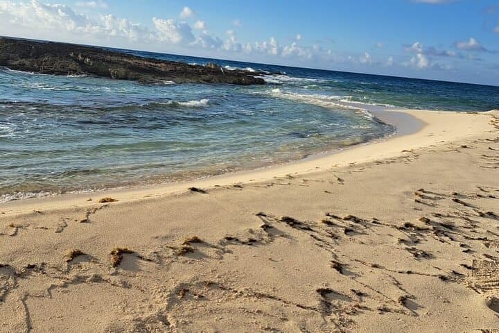 Cozumel Beach Day: Punta Morena, Chen Rio & Beach Clubs with Roundtrip Transport photo 3