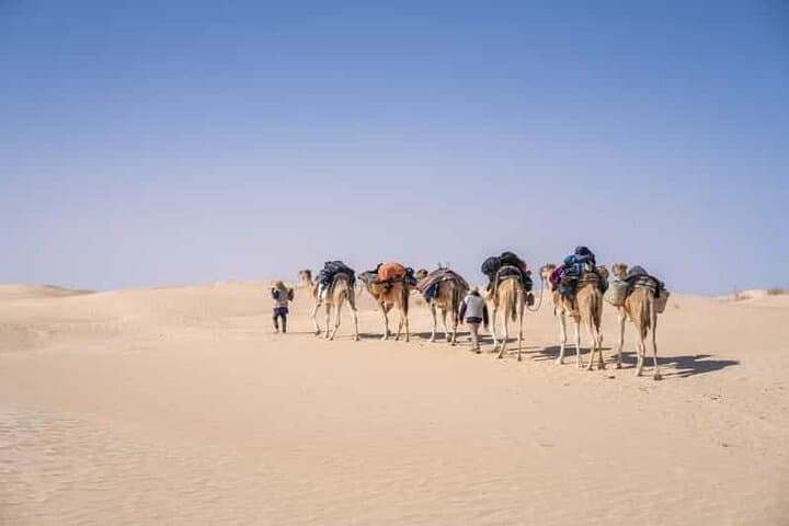 Two-Day Sahara Escape from Djerba: Starry Skies, Camel Treks & Oasis Baths photo 6