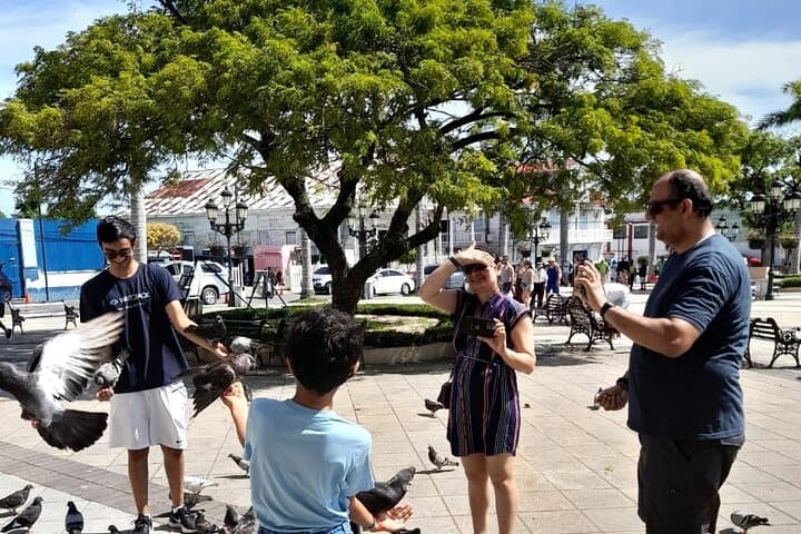 Puerto Plata Day Tour: City, Beach & Adventure in 4 Hours photo 3