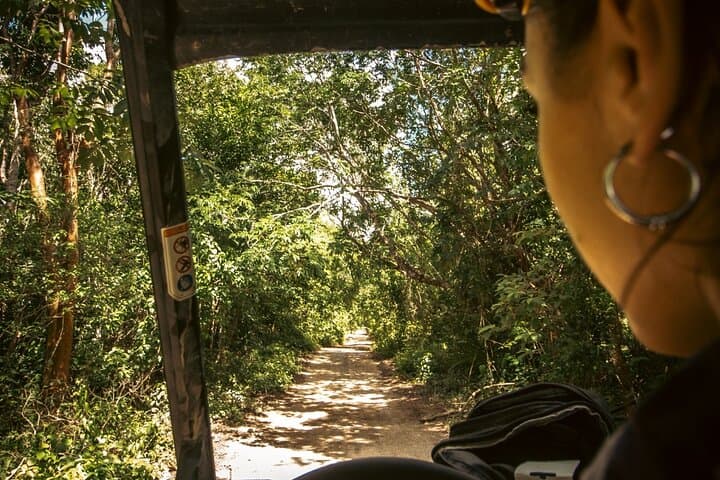 Playa del Carmen Jungle Buggy & Cenote Adventure photo 4