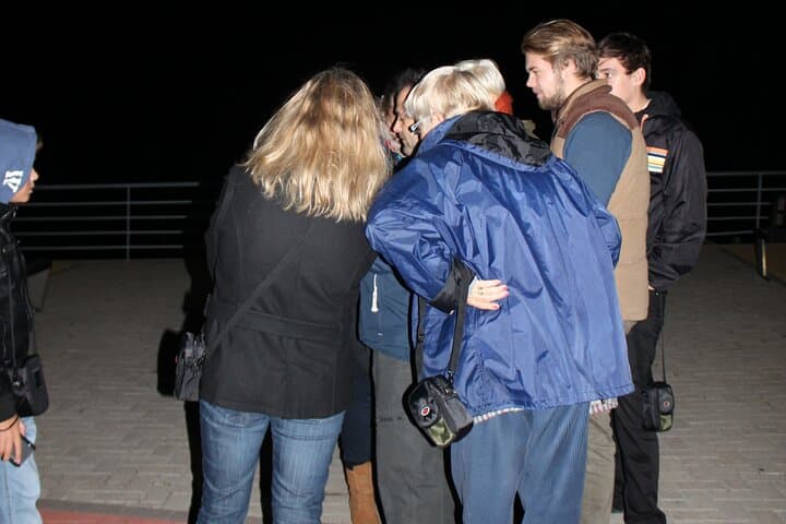 Madeira Barn Owl Night Walk: See the Endemic Madeiran Barn Owl photo 4