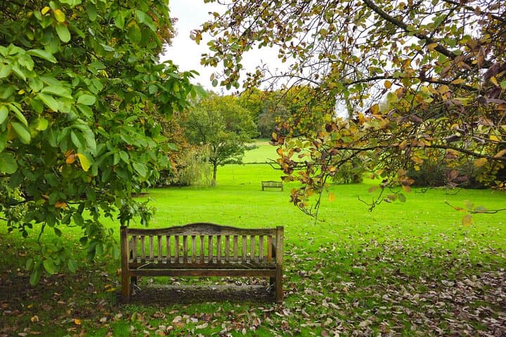 Walk Chawton: Jane Austen’s Village Tour from London photo 6