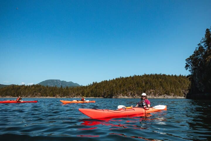 Campbell River Kayak and Whale-Watching Combo: Full-Day Wildlife Adventure photo 6