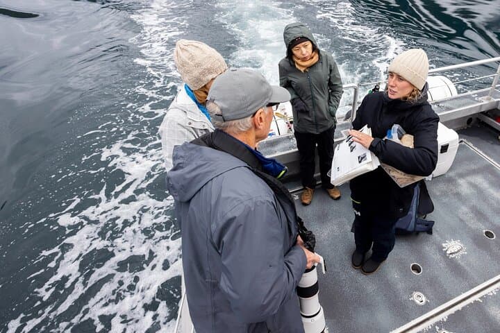 6-Hour Covered Whale Watching from Campbell River — Orcas, Humpbacks & Coastal Wildlife photo 4