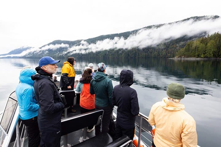 6-Hour Covered Whale Watching from Campbell River — Orcas, Humpbacks & Coastal Wildlife photo 2