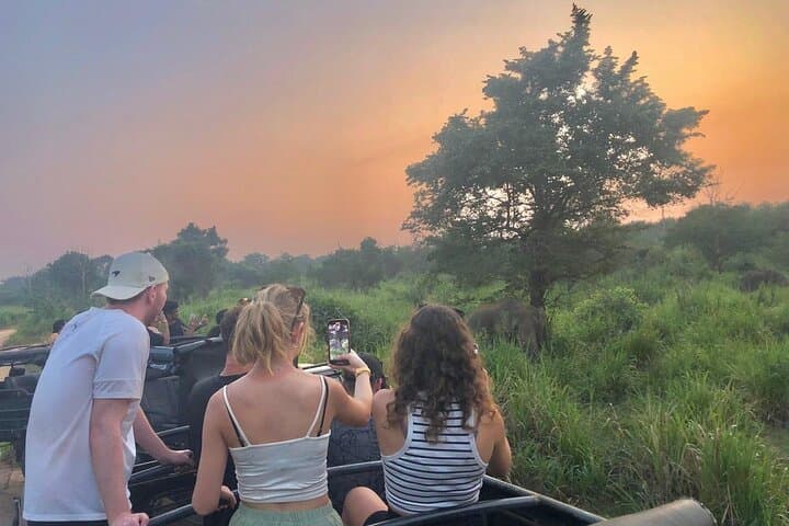 Hurulu Eco Park Jeep Safari: Elephants & Wildlife Near Habarana photo 3