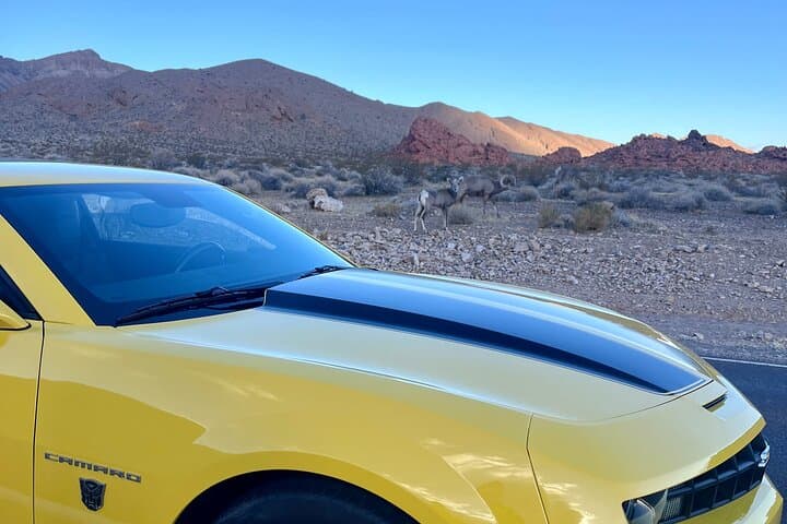 Drive a Bumblebee Camaro to Valley of Fire: Visit Transformers Movie Filming Sites photo 6