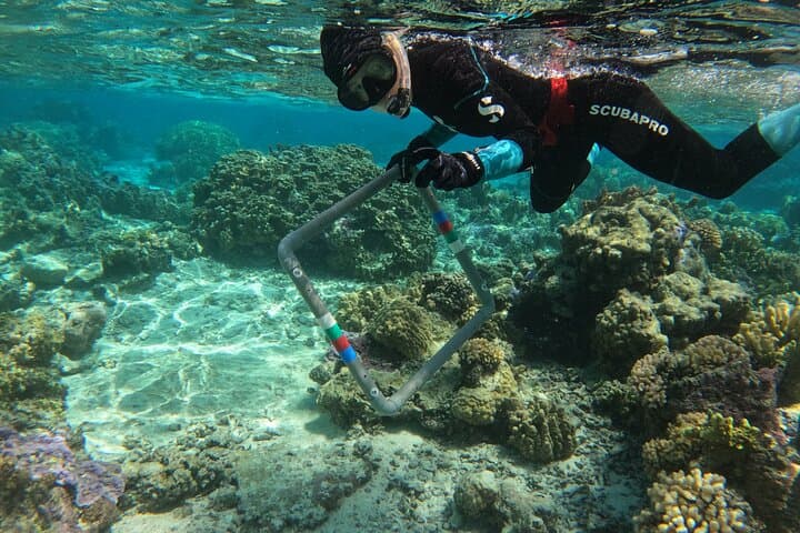 Moorea Reef Exploration with Reva Atea — Guided Snorkel & Coral Science photo 2