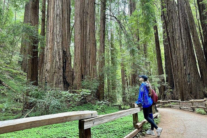 Half-Day Muir Woods & Sausalito Tour from San Francisco — Redwood Walk & Ferry Option photo 1
