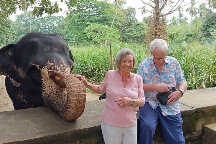 Full-Day Kandy and Pinnawala Elephant Orphanage Tour from Colombo photo 2