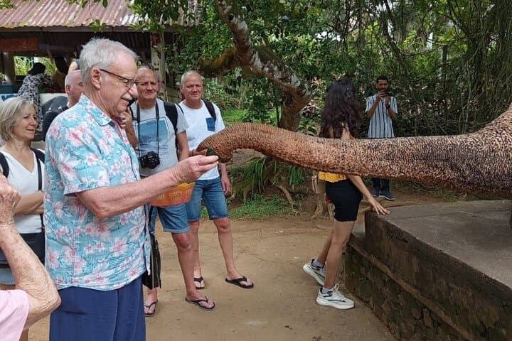 Full-Day Kandy and Pinnawala Elephant Orphanage Tour from Colombo photo 6