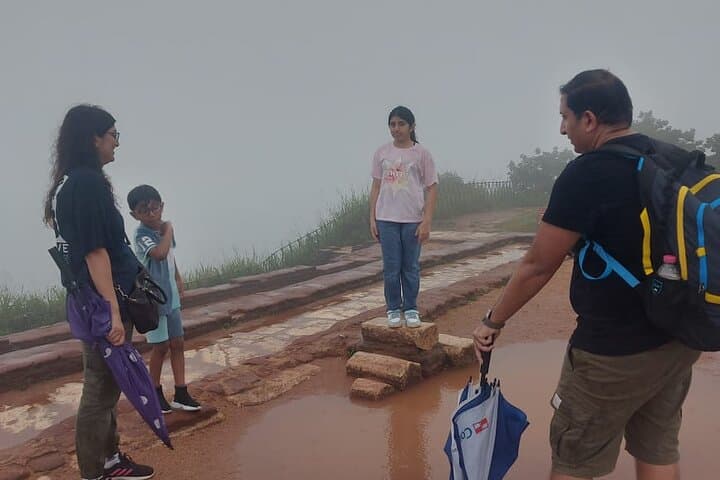 Sigiriya, Dambulla & Minneriya Day Trip from Colombo: Lion Rock Climb and Elephant Safari photo 3