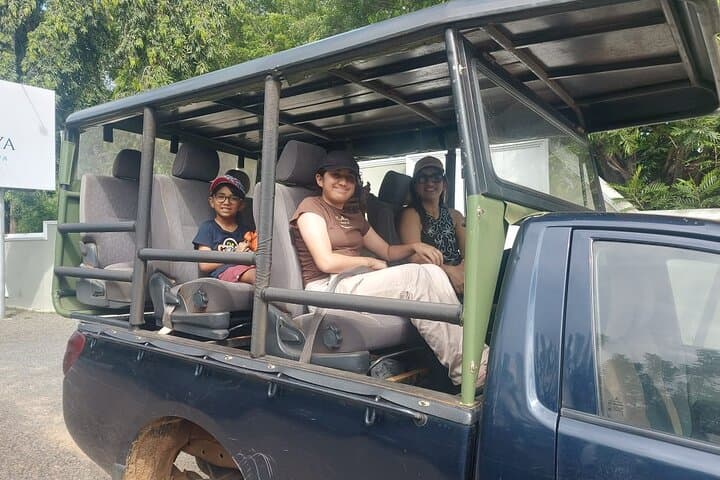 Sigiriya, Dambulla & Minneriya Day Trip from Colombo: Lion Rock Climb and Elephant Safari photo 6