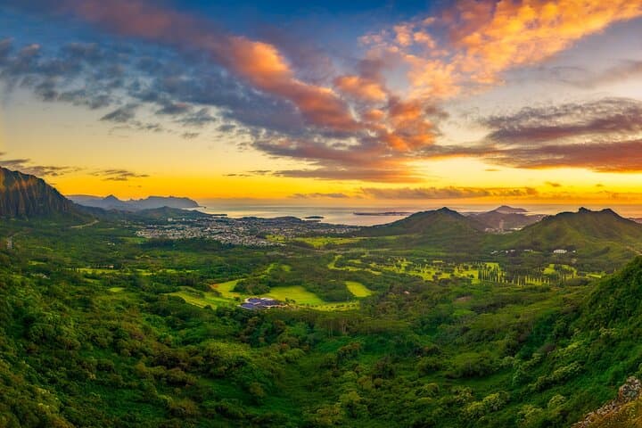 Oahu Circle Island Adventure: Dole Plantation, Turtle Snorkel & Pali Lookout photo 3