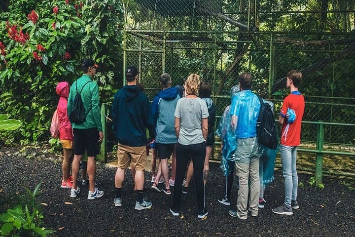 Proyecto Asis Wildlife Rescue Tour — La Fortuna Animal Rehabilitation & Volunteer Visit photo 2