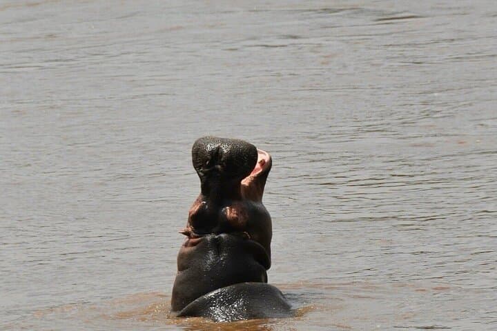 Naivasha Day Trip — Cycle Hell's Gate National Park & Boat to Crescent Island photo 2