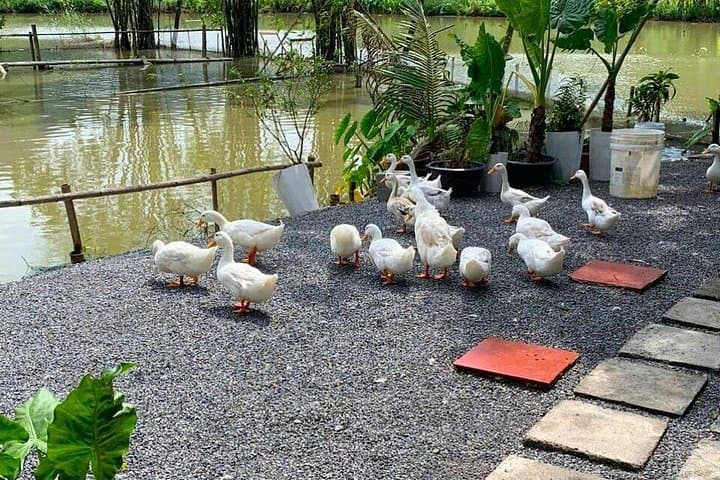 Ninh Binh Motorbike Day Tour: Ride Tam Coc Rice Fields & Hidden Cave Temples photo 5