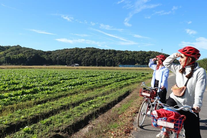 Kibi Road Cycling and Local Ramen Tour in Soja, Okayama photo 2