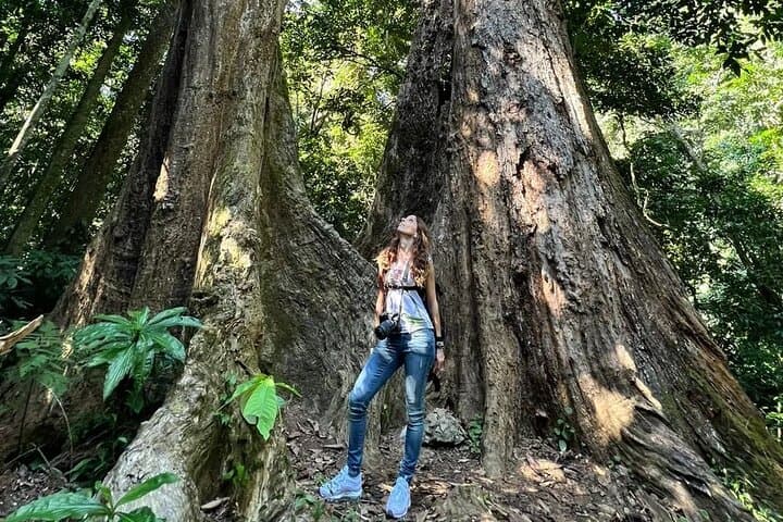 1-Day Trekking in Cuc Phuong National Park — Day Hike from Ninh Binh photo 4