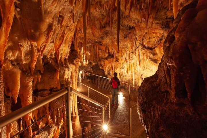 Snowy Mountains NSW Private Tour: 3-Day Roundtrip from Sydney photo 3