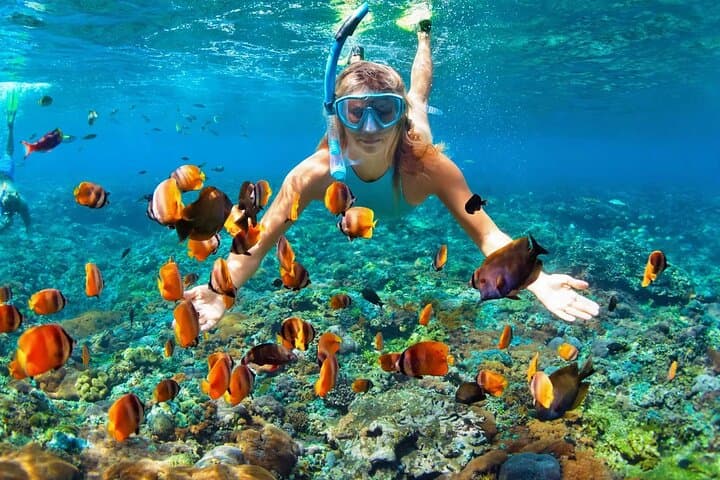 Mun Island Snorkel & BBQ: Hòn Mun Coral Reef Tour from Nha Trang photo 2