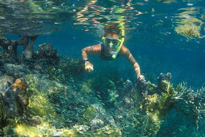 Snorkeling Mun Island: Nha Trang Bay Coral Reefs & Tour Tips photo 2