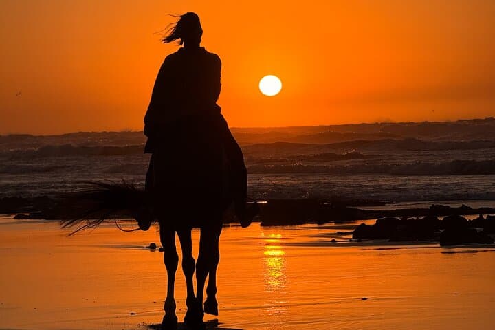 Sunset Horseback Riding in Essaouira — Beaches, Dunes & Argan Forests photo 2