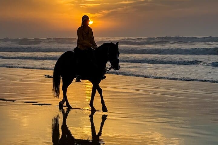 Sunset Horseback Riding in Essaouira — Beaches, Dunes & Argan Forests photo 6