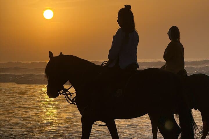 Sunset Horseback Riding in Essaouira — Beaches, Dunes & Argan Forests