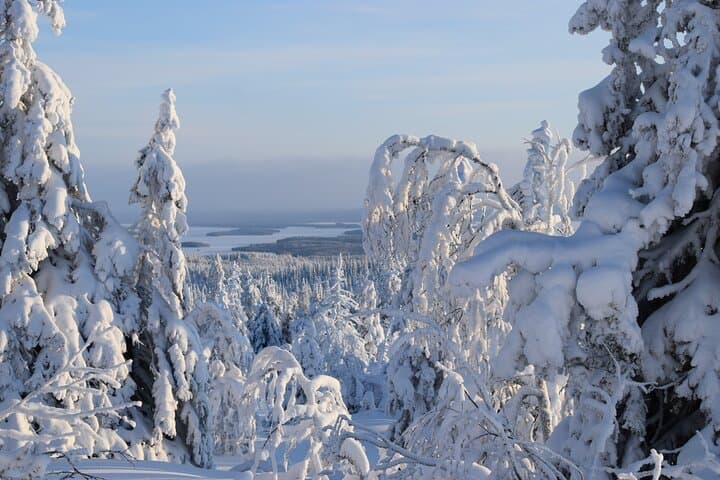 Riisitunturi Day Hike from Rovaniemi — Tykky Forests & Fell Summits photo 5