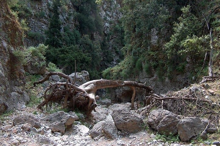 Exploring Imbros Gorge: Private Day Hike and Coastal Swim from Chania photo 4
