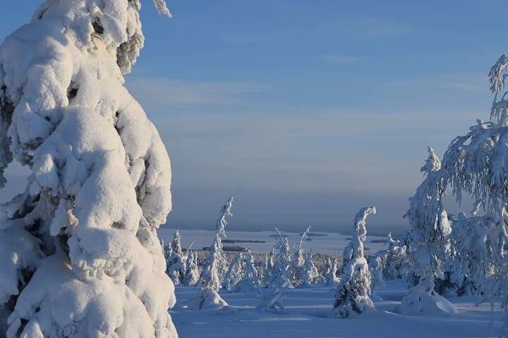 Riisitunturi Day Hike from Rovaniemi — Tykky Forests & Fell Summits